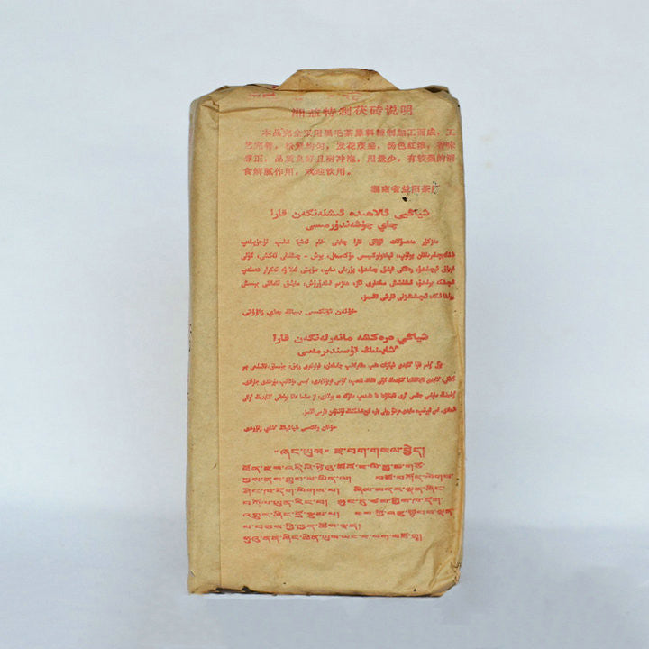 2009 XiangYi Fu Tea "Te Zhi" (Special) Brick 300g Dark Tea, Fu Cha, Hunan