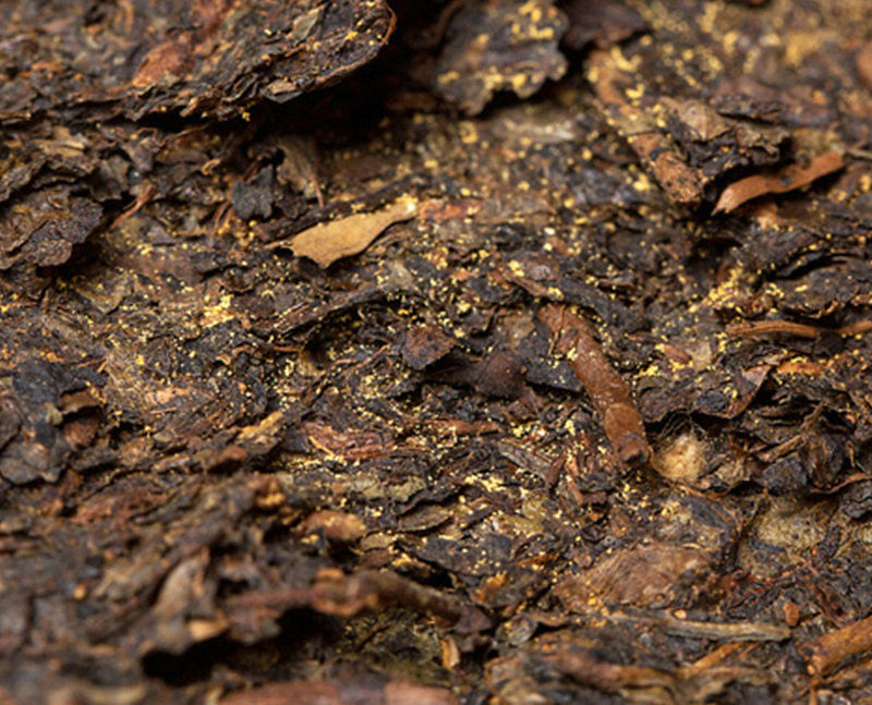 2010 XiangYi Fu Tea "Jun Xin" (Heart) Brick 380g Dark Tea, Fu Cha, Hunan