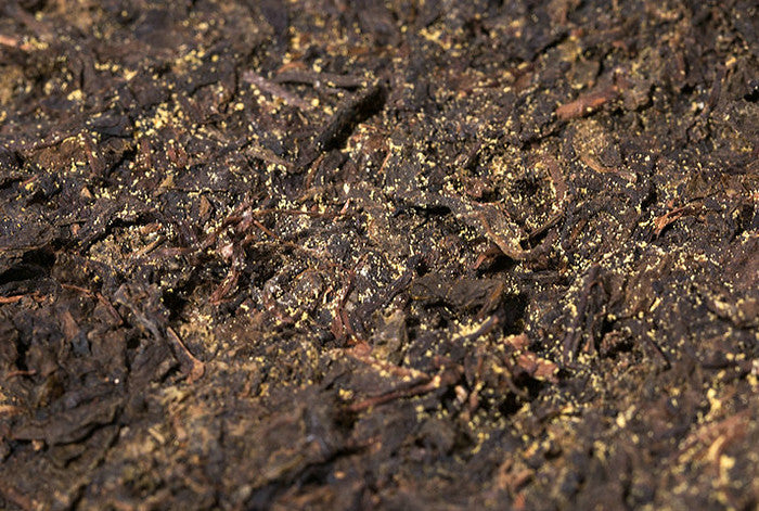 2015 XiangYi Fu Tea "Zhuan" Brick 950g Dark Tea, Fu Cha, Hunan