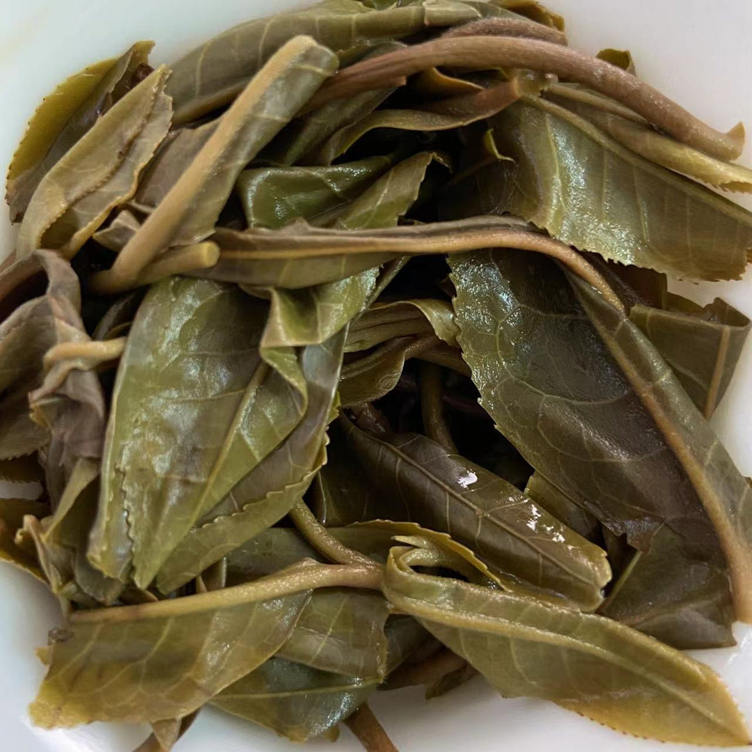 2022 TMK Early Spring "Meng Ku Gu Shu" (Mengku Old Tree) Loose Leaf Puerh Raw Tea Sheng Cha