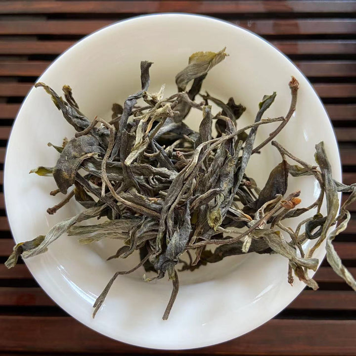 2022 TMK Early Spring "Meng Ku Gu Shu" (Mengku Old Tree) Loose Leaf Puerh Raw Tea Sheng Cha
