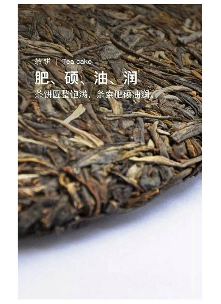 2018 DaYi "Yun Qi" (Rising Cloud) Cake 150g / 357g Puerh Sheng Cha Raw Tea