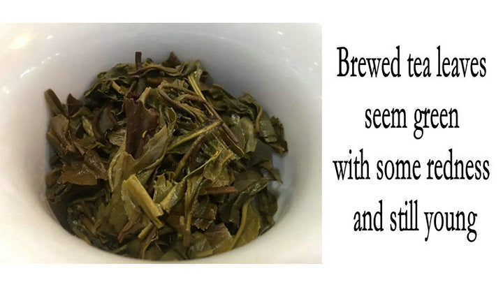2018 DaYi "Qian Xu Kong Que" (Peacock) Cake 357g Puerh Sheng Cha Raw Tea