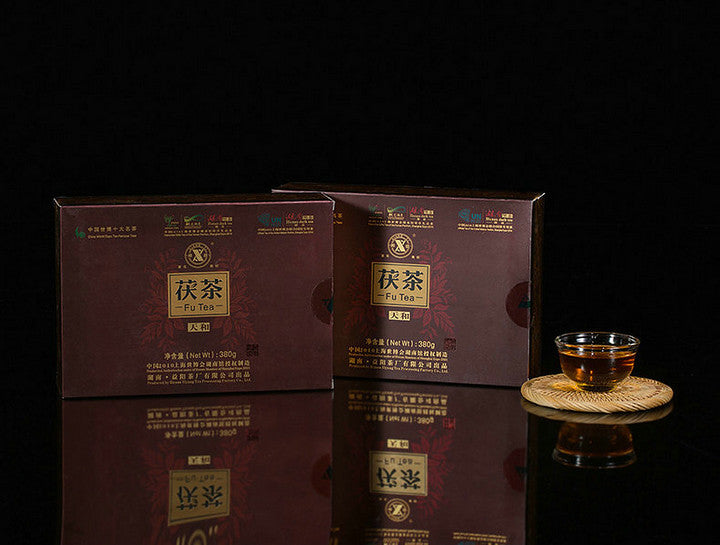 2011 XiangYi Fu Tea "Tian He" Brick 380g Dark Tea, Fu Cha, Hunan