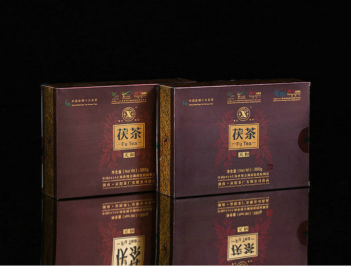 2011 XiangYi Fu Tea "Tian He" Brick 380g Dark Tea, Fu Cha, Hunan