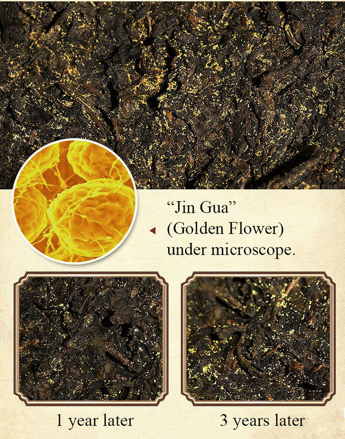 2015 XiangYi Fu Tea "Zhuan" Brick 950g Dark Tea, Fu Cha, Hunan