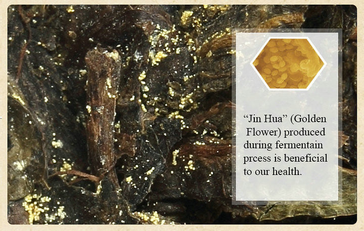 2015 XiangYi Fu Tea "Te Zhi Li Pin" (Specially Made Gift) Brick 2000g Dark Tea, Fu Cha, Hunan