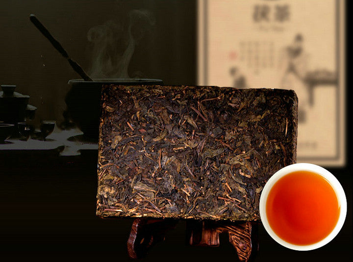 2012 XiangYi Fu Tea "Bai Xing" (People) Brick 380g Dark Tea, Fu Cha, Hunan