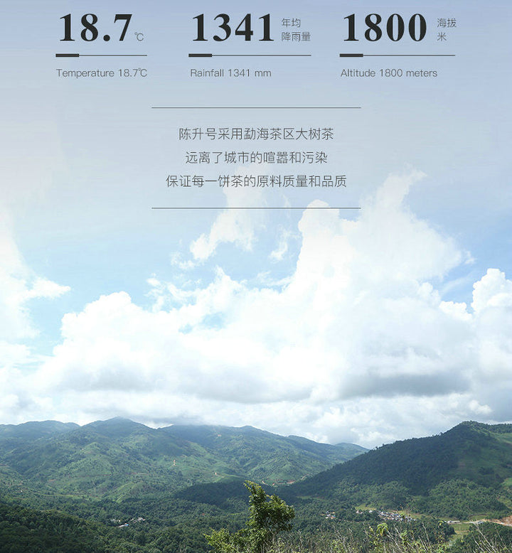 2019 ChenShengHao "Yue Yuan"(Full Moon) Cake 357g Puerh Raw Tea Sheng Cha