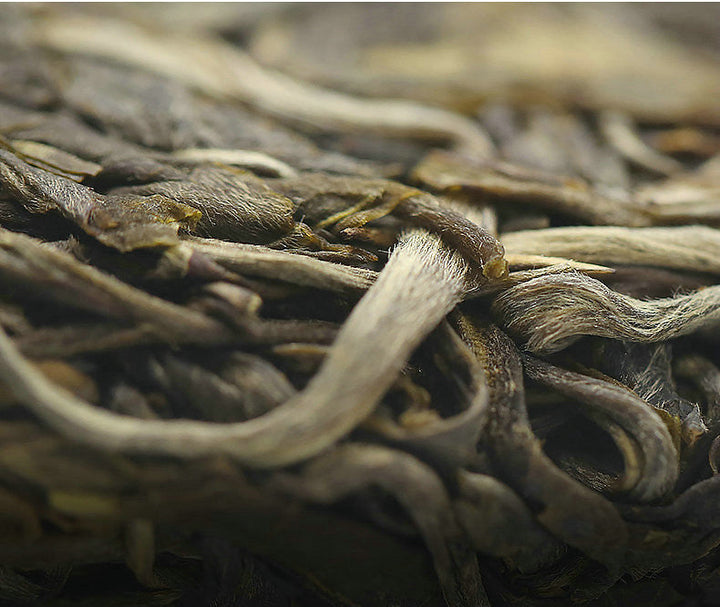 2019 ChenShengHao "Yue Yuan"(Full Moon) Cake 357g Puerh Raw Tea Sheng Cha