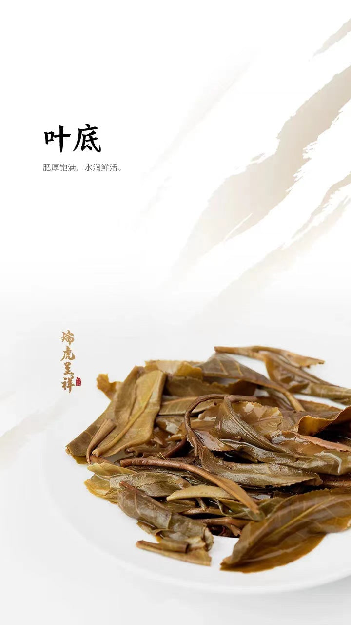 2022 DaYi "Rui Hu Cheng Xiang" (Zodiac Tiger Year) Cake 357g Puerh Sheng Cha Raw Tea