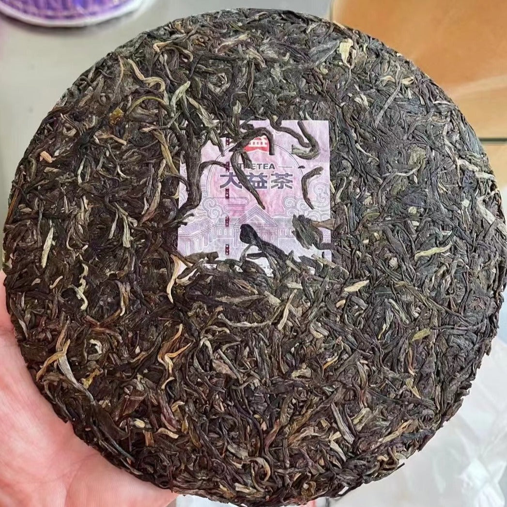 2022 DaYi "Long Zhu" (Dragon Pillar) Cake 357g Puerh Sheng Cha Raw Tea