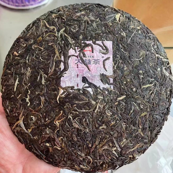 2022 DaYi "Long Zhu" (Dragon Pillar) Cake 357g Puerh Sheng Cha Raw Tea