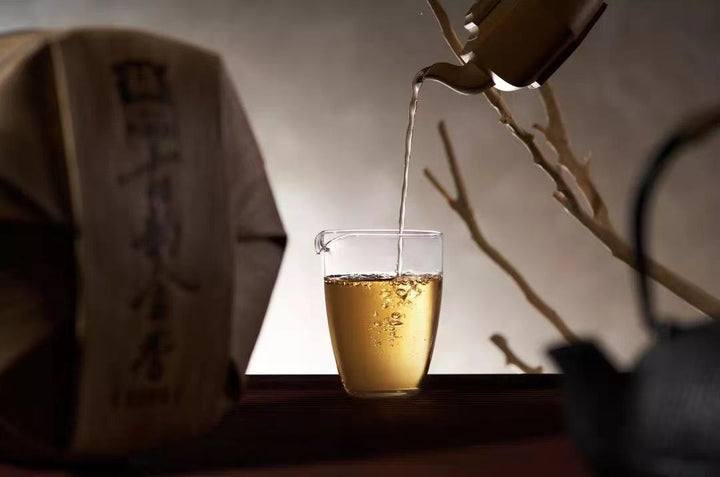 2022 DaYi "Gu Yun Jin Xiang" (Aged Rhythm Golden Scent) Cake 357g Puerh Sheng Cha Raw Tea