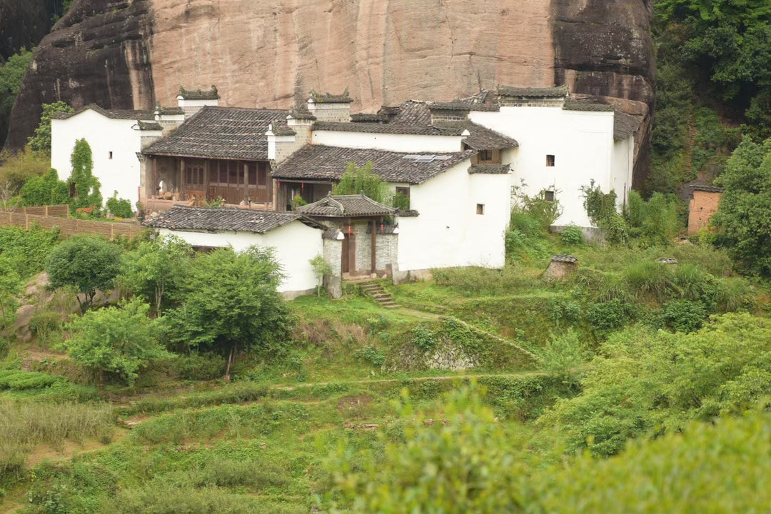 Spring Oolong "Rou Gui - Ma Tou Yan" (Ma Rou / Zheng Yan - Rou Gui) Wuyi Yancha