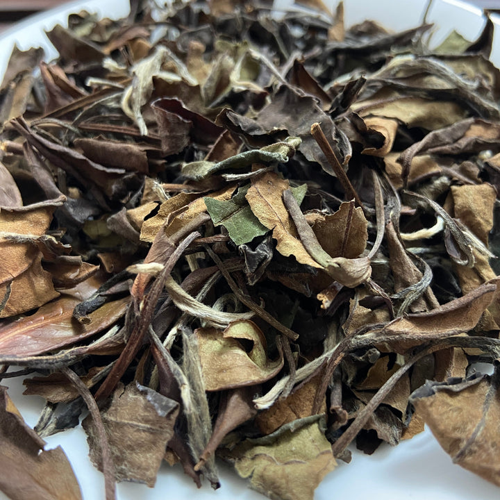 2017 Autumn White Tea "Shou Mei" (Shoumei) A+++ Grade, Loose Leaf Tea, Fuding BaiCha, Fujian Province.
