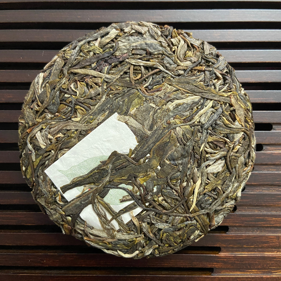 2023 TMK Spring "Xi Niu Tang" (Xiniutang) Big Tree 100g Cake Puerh Sheng Cha Raw Tea