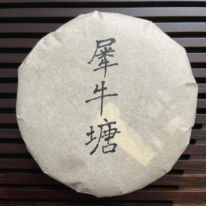 2023 TMK Spring "Xi Niu Tang" (Xiniutang) Big Tree 100g Cake Puerh Sheng Cha Raw Tea