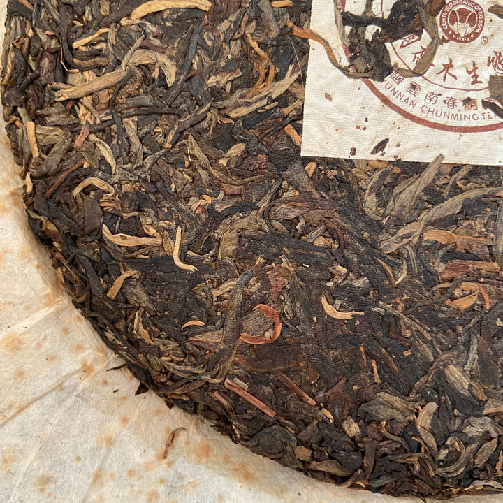 2004 ChunMing "Bu Lang - Qiao Mu Sheng Tai" (Bulang - Arbor Organic) Cake 357g Puerh Raw Tea Sheng Cha
