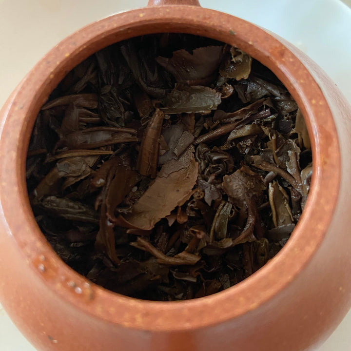 2007 NanQiao "Zao Chun Gong Rui - Bu Lang - Qiao Mu Sheng Tai" (Early Spring Tribute Glory - Bulang - Arbor Organic) Cake 357g Puerh Raw Tea Sheng Cha
