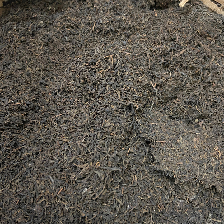 1998 WuZhou "Gui Qing Zhong - Liu Bao" (Guiqing Variety - Liubao) S Grade Loose Leaf Dark Tea, Guangxi, Liu Pao