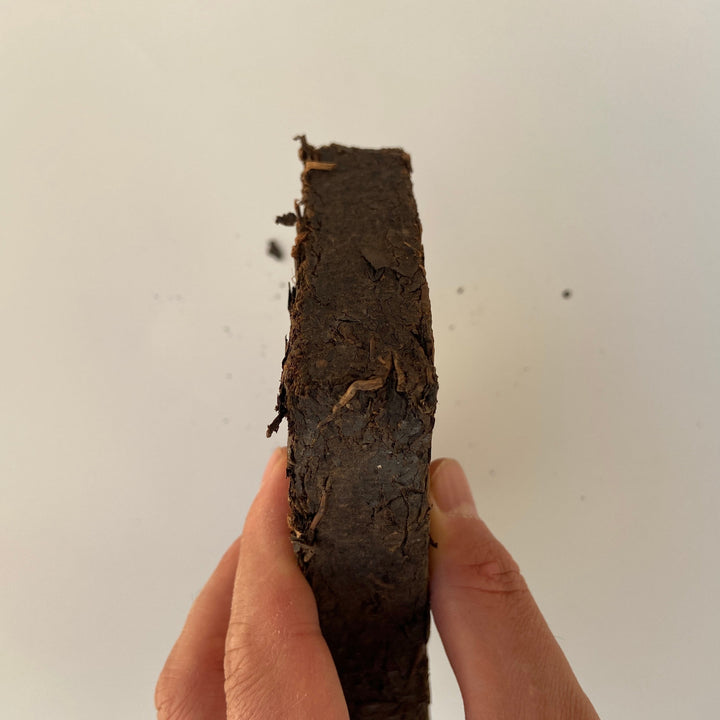 1992 CNNP - AnHua "Hei Zhuan Cha" (Dark Brick Tea) 380g Tea, Dark Tea, Hunan Province.