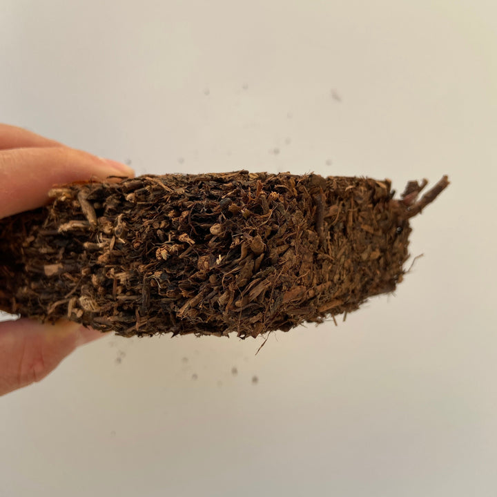 2006 CNNP - LinXiang "Fu Zhuan" (Fu Brick) 300g Tea, Dark Tea, Fu Cha, Hunan Province.