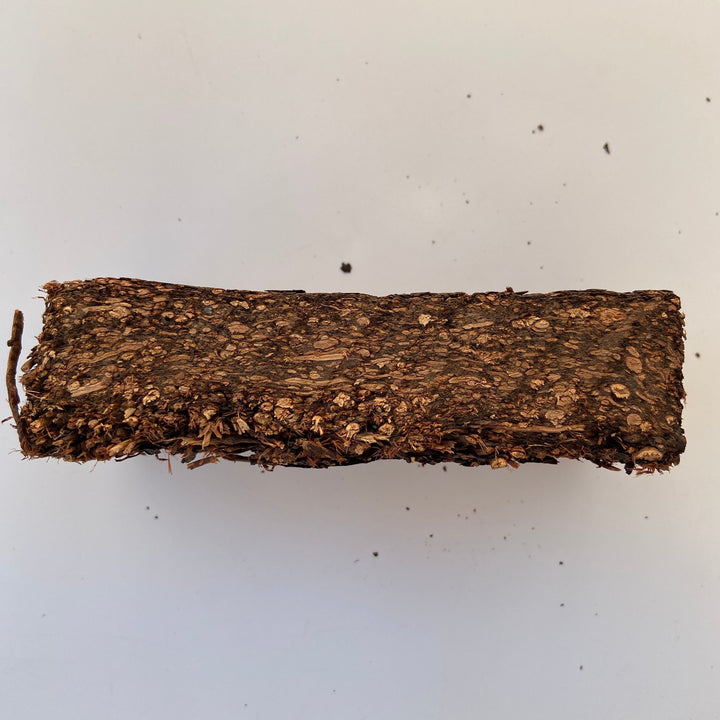 2012 Chuan "Qing Zhuan Cha" (Green Brick Tea) 380g Dark Tea, ZhaoLiQiao Tea Factory, Hubei Province