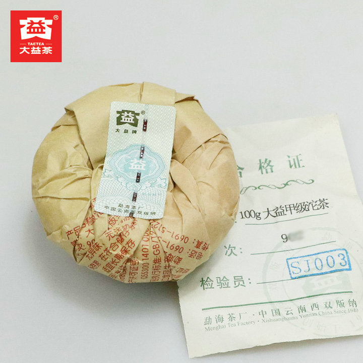 2009 DaYi "Jia Ji" (1st Grade) Tuo 100g Puerh Sheng Cha Raw Tea (Batch 902)