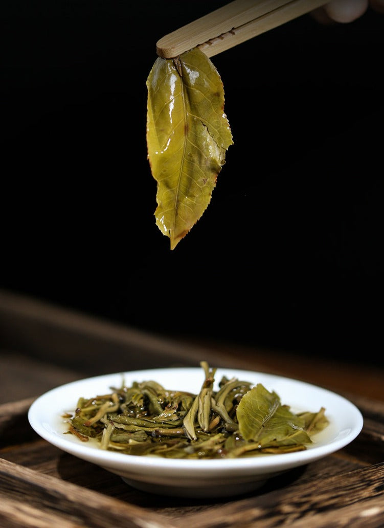 2023 Xiaguan "Da Xiang Ban Zhang - Gu Shu" (Elephant - Banzhang - Old Tree) 357g Puerh Raw Tea Sheng Cha