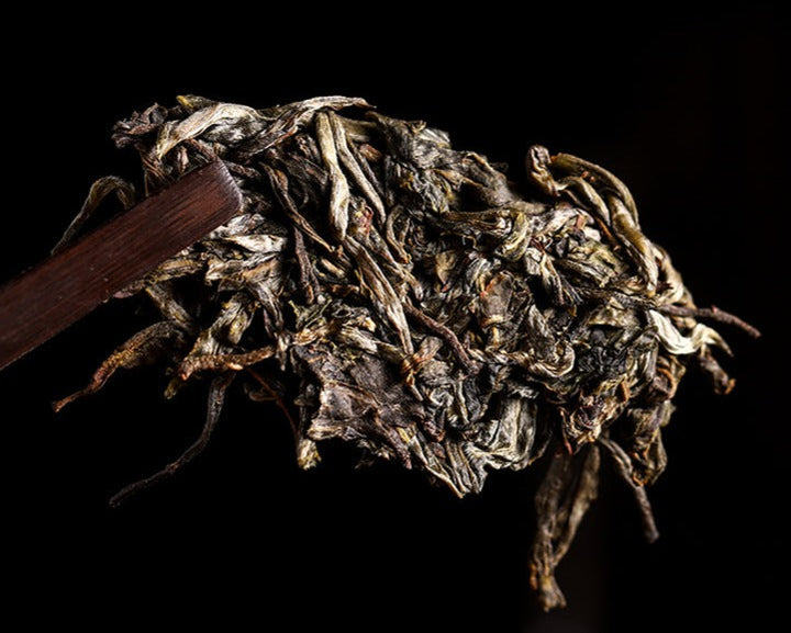 2022 MengKu RongShi "Tou Cai - Ji Shao Shu" (1st Picking - Rare Tree) Cake 8g / 357g 100g, Loose Leaf 100g / Cylinder 600g Puerh Raw Tea Sheng Cha