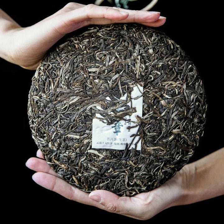 2021 Xiaguan "Hua Zhang" (Gorgeous Chapter - Banzhang Tea Region ) Cake 357g Puerh Raw Tea Sheng Cha