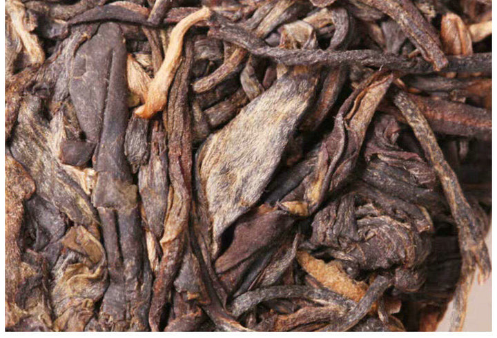 2019 DaYi "Cang Hai" (the Blue Ocean) Cake 357g Puerh Sheng Cha Raw Tea