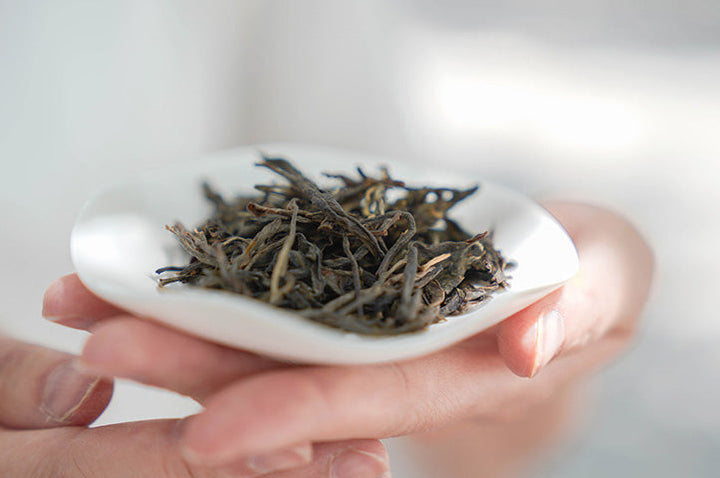 2022 XiaGuan "Zheng Shan Yi Wu - Zao Chun Gu Shu" (Mountain Yiwu - Early Spring Old Tree) Tuo 250g Puerh Sheng Cha Raw Tea