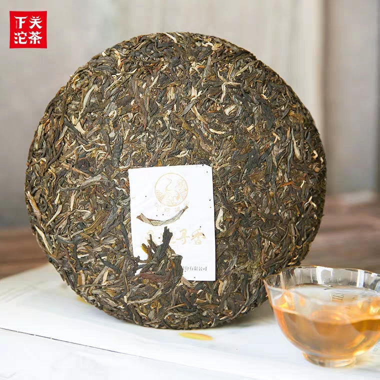 2019 Xiaguan "Jing Mai Xun Xiang - Gu Shu" (Jingmai Aroma- Old Tree) 357g Puerh Raw Tea Sheng Cha