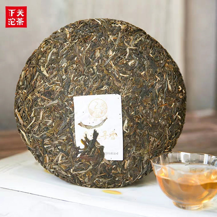2019 Xiaguan "Jing Mai Xun Xiang - Gu Shu" (Jingmai Aroma- Old Tree) 357g Puerh Raw Tea Sheng Cha