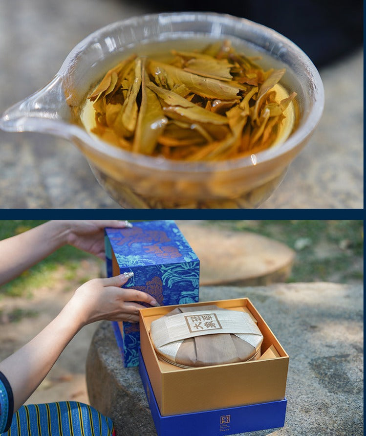2023 Xiaguan "Da Xiang Ban Zhang - Gu Shu" (Elephant - Banzhang - Old Tree) 357g Puerh Raw Tea Sheng Cha