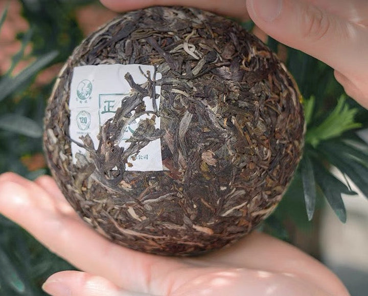 2022 XiaGuan "Zheng Shan Yi Wu - Zao Chun Gu Shu" (Mountain Yiwu - Early Spring Old Tree) Tuo 250g Puerh Sheng Cha Raw Tea