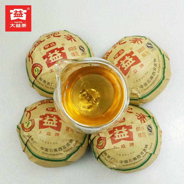 2009 DaYi "Jia Ji" (1st Grade) Tuo 100g Puerh Sheng Cha Raw Tea (Batch 902)