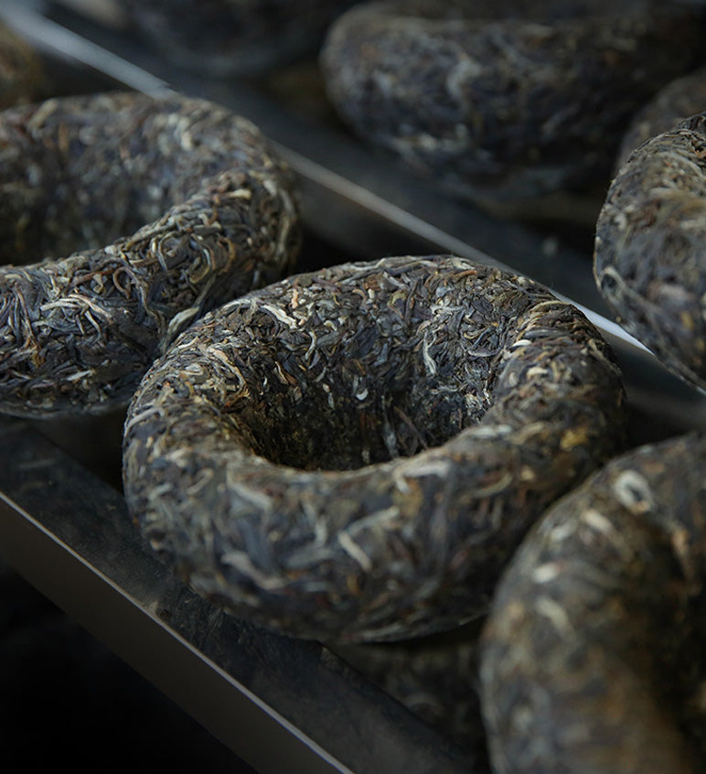 2022 XiaGuan "Zheng Shan Yi Wu - Zao Chun Gu Shu" (Mountain Yiwu - Early Spring Old Tree) Tuo 250g Puerh Sheng Cha Raw Tea