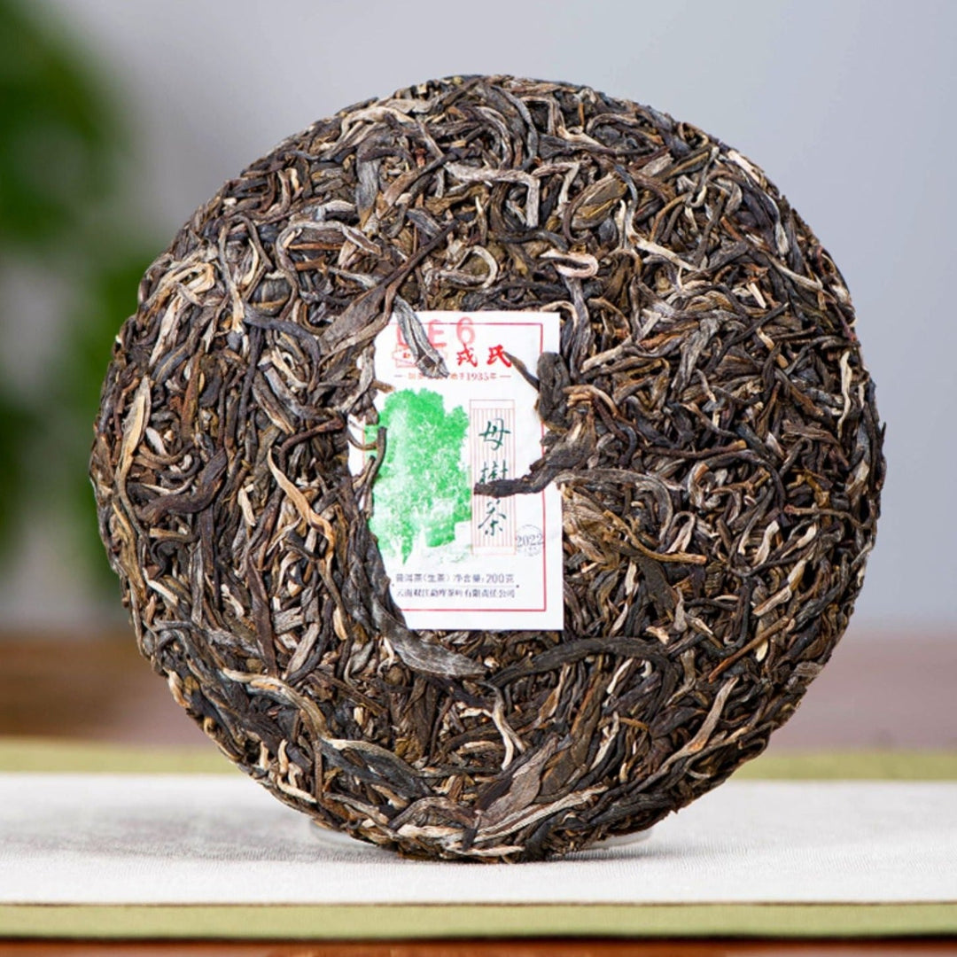 2022 MengKu RongShi "Mu Shu Cha" (Mother Tree) Cake 8g / 200g / 500g Puerh Raw Tea Sheng Cha