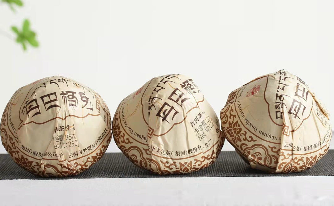 2021 XiaGuan "Dan Ba Ge Lie - Bu Lang Gu Shu" (Bulang Old Tree) Mushroom Tuo 250g Puerh Sheng Cha Raw Tea