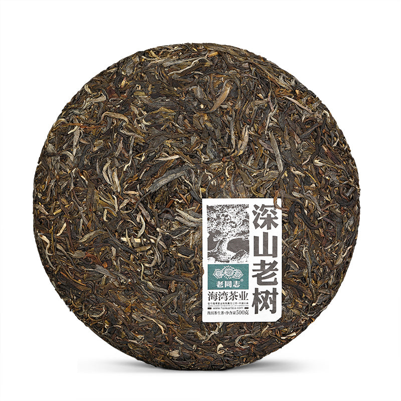 2021 LaoTongZhi "Shen Shan Lao Shu" (High Mountain Old Tree) Cake 500g Puerh Raw Tea Sheng Cha