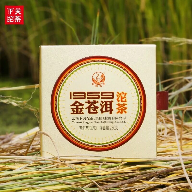 2017 XiaGuan "Jin Cang Er" (Golden Cang'er) Tuo 250g  Puerh Raw Tea Sheng Cha