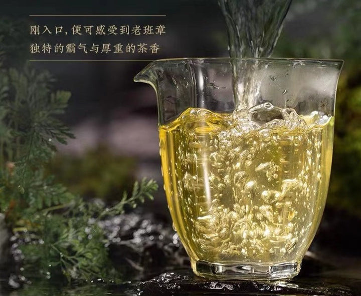 2022 ChenShengHao "Lao Ban Zhang" (LaoBanzhang) Cake 357g Puerh Raw Tea Sheng Cha