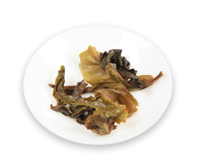 2012 DaYi "Xiong Mao" (Panda) Tuo 100g Puerh Sheng Cha Raw Tea