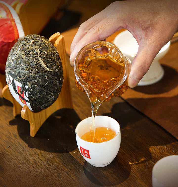 2022 XiaGuan "Hong Yin Tuo Cha" (Red Mark - Spring Old Tree of Banzhang + Xigui + Bingdao + Yiwu + Jingmai) Tuo 250g Puerh Sheng Cha Raw Tea