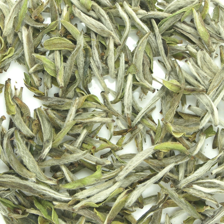 2021 Spring "Bai Hao Yin Zhen" (White Hair Silver Needle) A++++ Grade, White Tea Fuding Fujian Province