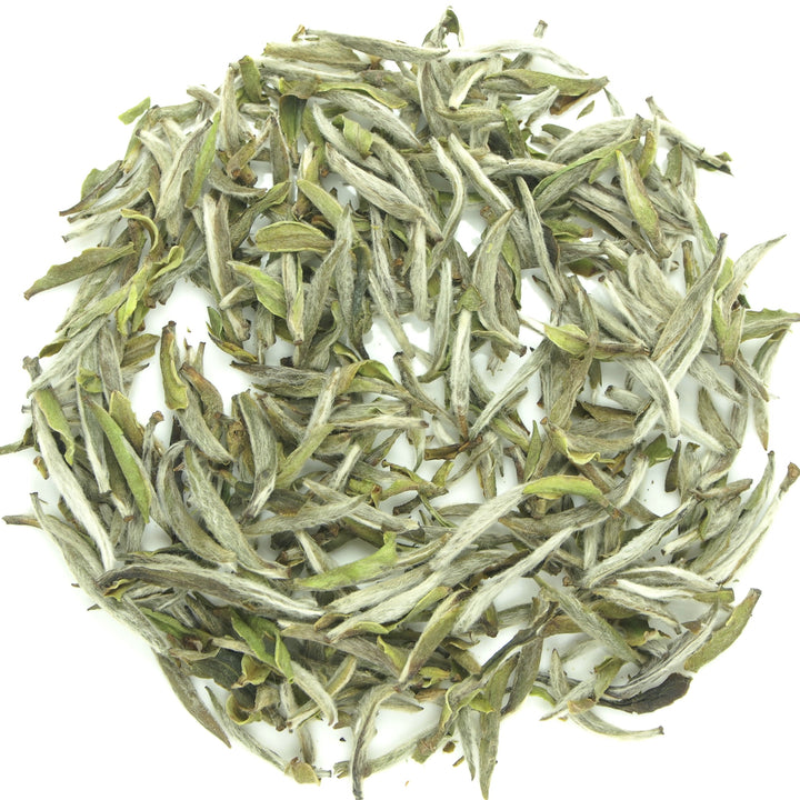 2021 Spring "Bai Hao Yin Zhen" (White Hair Silver Needle) A++++ Grade, White Tea Fuding Fujian Province