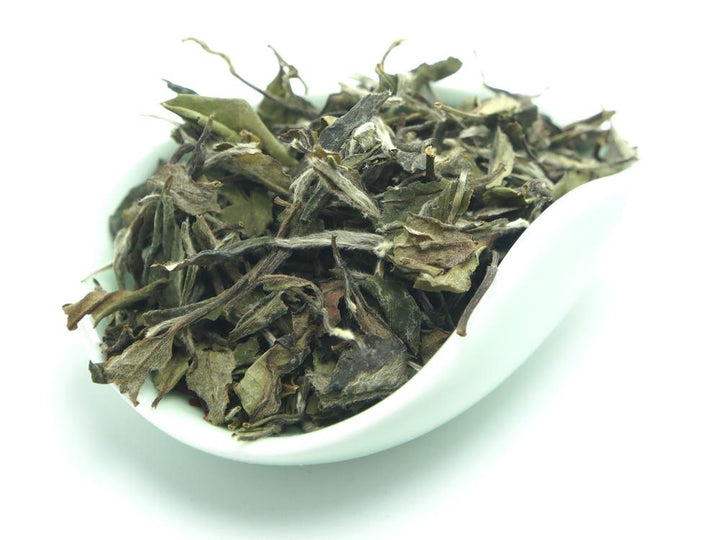 2022 Spring "Bai Mu Dan" (White Poeny) A+++ Grade, White Tea Fuding Fujian Province